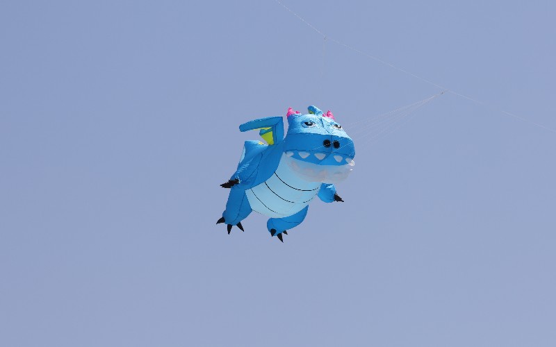林海风筝季 门票免费送！