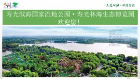 寿光林海生态博览园欢迎您